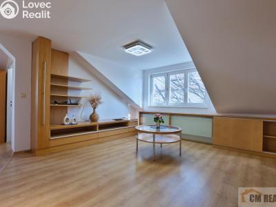 Sale apartment 4+KK Vyškov, Fučíkova č. 13