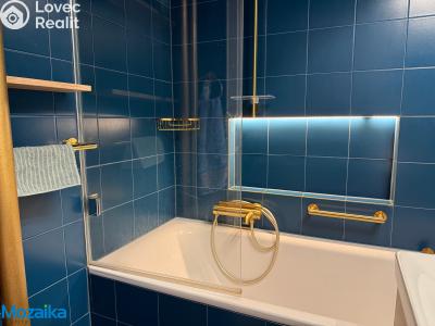 Rent apartment 2+1 Praha, Maříkova č. 7