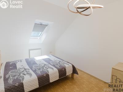 Pronájem bytu 2+1 Malešovice č. 4