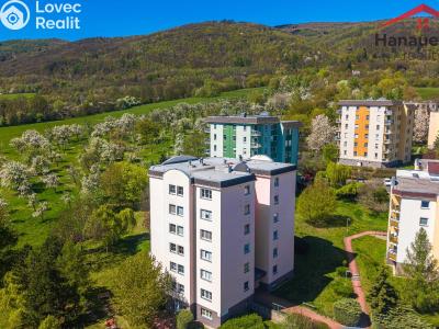 Prodej bytu 3+1 Chlumec, Stradovská 392 č. 1