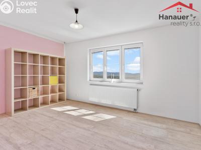 Prodej bytu 3+1 Chlumec, Stradovská 392 č. 5