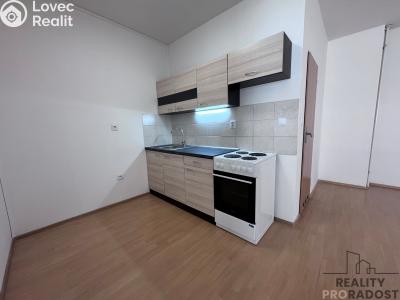 Rent apartment 1+KK Hodonín, Národní třída č. 2