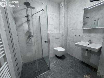 Rent apartment 1+KK Hodonín, Národní třída č. 4