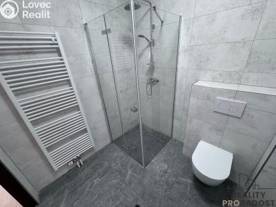 Rent apartment 1+KK Hodonín, Národní třída č. 5