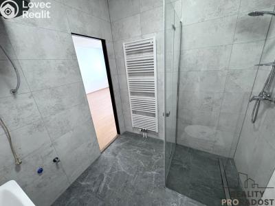 Rent apartment 1+KK Hodonín, Národní třída č. 6