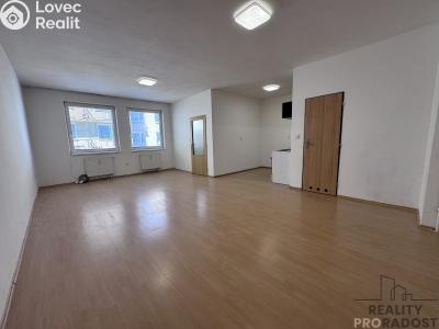 Rent apartment 1+KK Hodonín, Národní třída č. 7