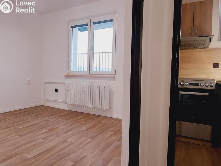 Pronájem bytu 1+KK Valašské Meziříčí, Růžová č. 8
