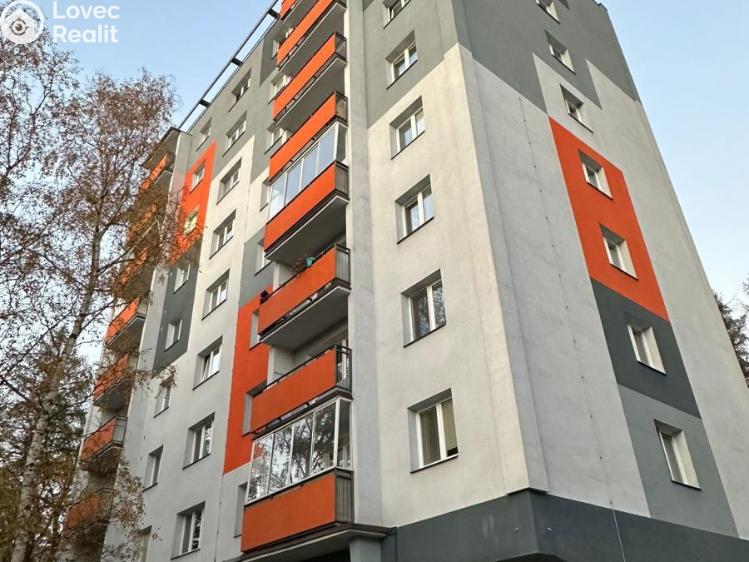Pronájem bytu 1+KK Valašské Meziříčí, Růžová č. 14