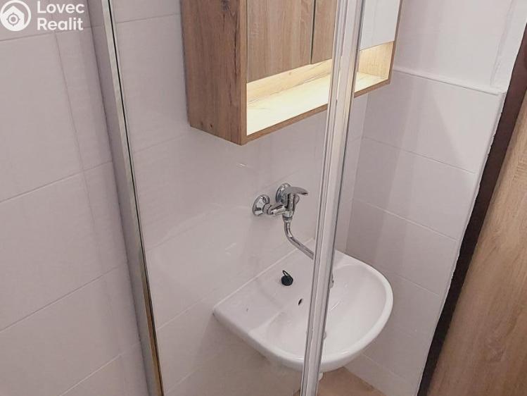 Pronájem bytu 1+KK Valašské Meziříčí, Růžová č. 19