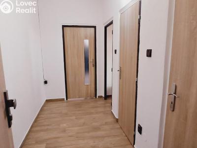 Pronájem bytu 1+KK Valašské Meziříčí, Růžová č. 5