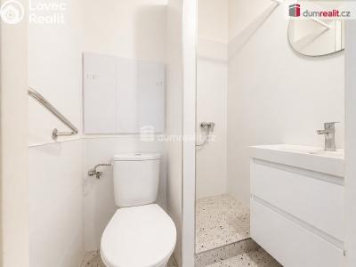Pronájem bytu 1+KK Ústí nad Labem, 17. listopadu č. 4