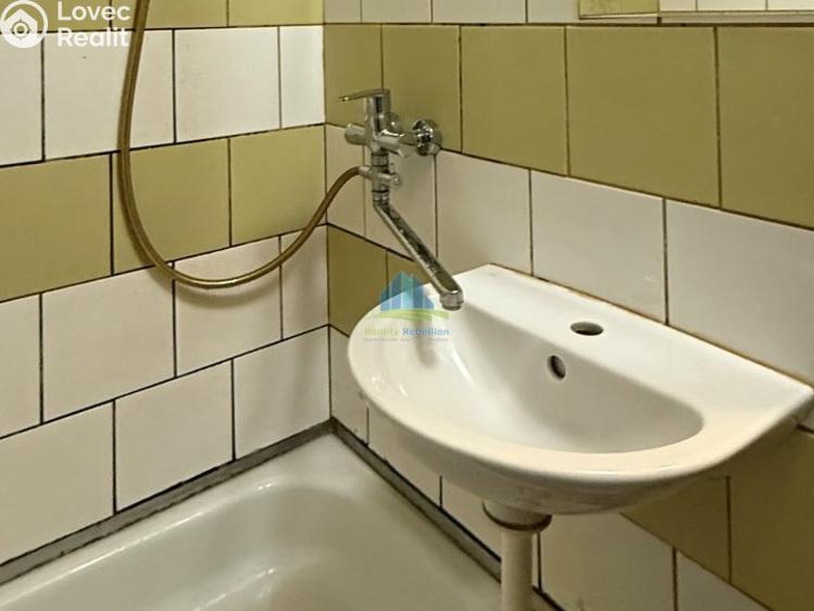 Prodej bytu 1+1 Plesná, Světlá 476 č. 4