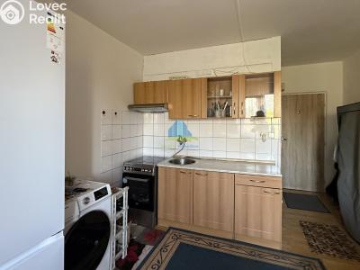 Prodej bytu 1+1 Plesná, Světlá 476 č. 3