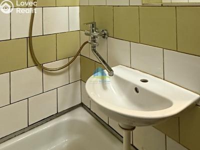 Prodej bytu 1+1 Plesná, Světlá 476 č. 4