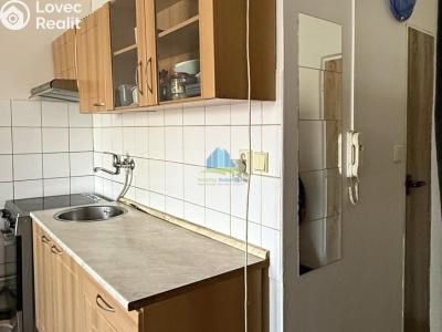 Prodej bytu 1+1 Plesná, Světlá 476 č. 6