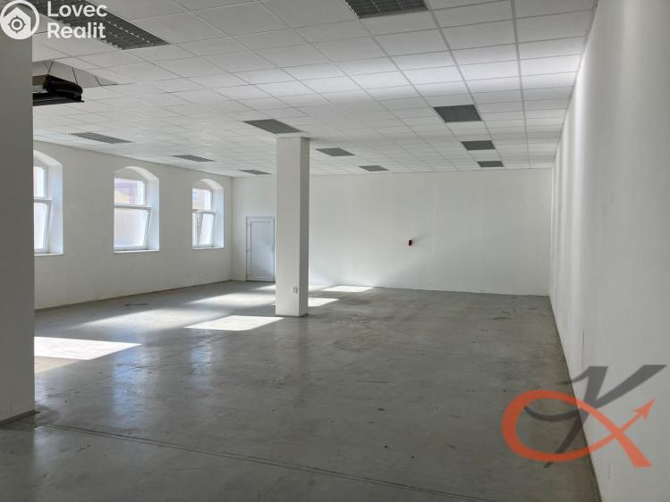 Pronájem skladového prostoru Prostějov, Vrahovická 4251/18 č. 3