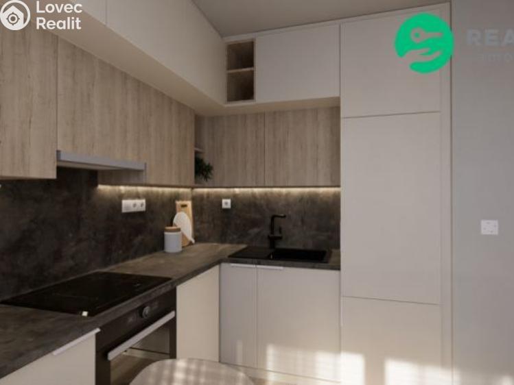 Sale apartment 1+1 Děčín, Řetězová č. 22