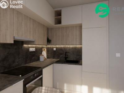 Sale apartment 1+1 Děčín, Řetězová č. 22