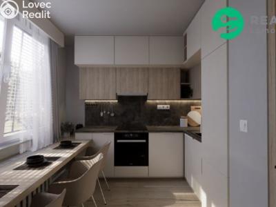Sale apartment 1+1 Děčín, Řetězová č. 3