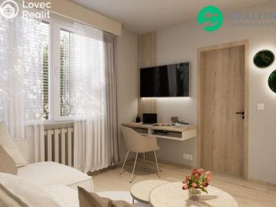 Sale apartment 1+1 Děčín, Řetězová č. 20