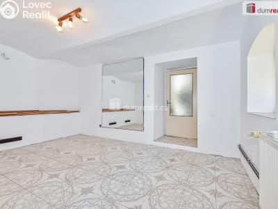 Продажа семейного дома Hořesedly č. 22