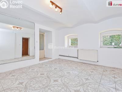 Продажа семейного дома Hořesedly č. 23