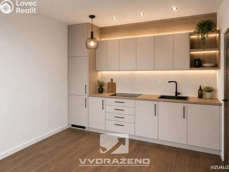 Prodej vícegeneračního domu Brodek u Konice č. 10