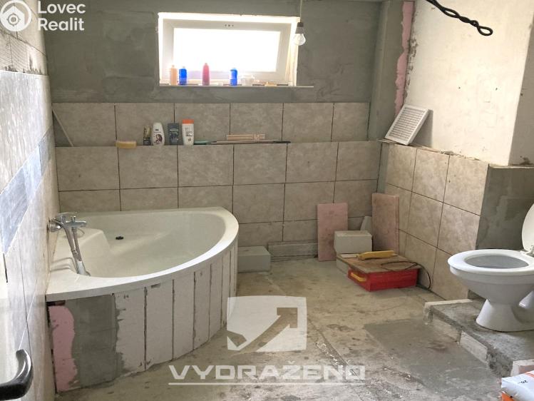 Prodej vícegeneračního domu Brodek u Konice č. 13