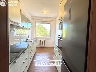 Pronájem bytu 2+1 Zlín, Družstevní 4517 č. 4