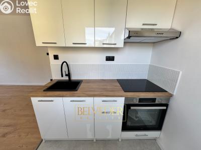 Sale apartment 2+KK Teplice, Písečná č. 2