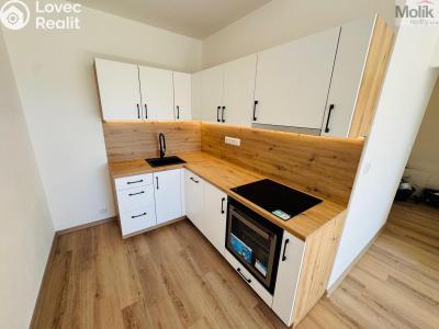 Rent apartment 2+KK Most, Jaroslava Ježka č. 4