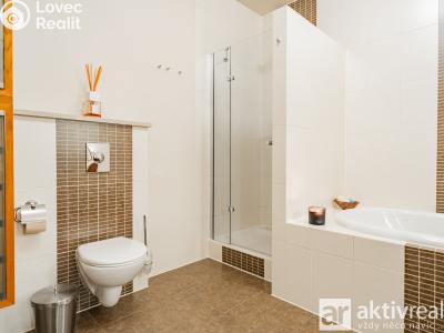 Pronájem bytu 5+KK Praha, Perucká č. 21