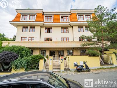 Pronájem bytu 5+KK Praha, Perucká č. 26