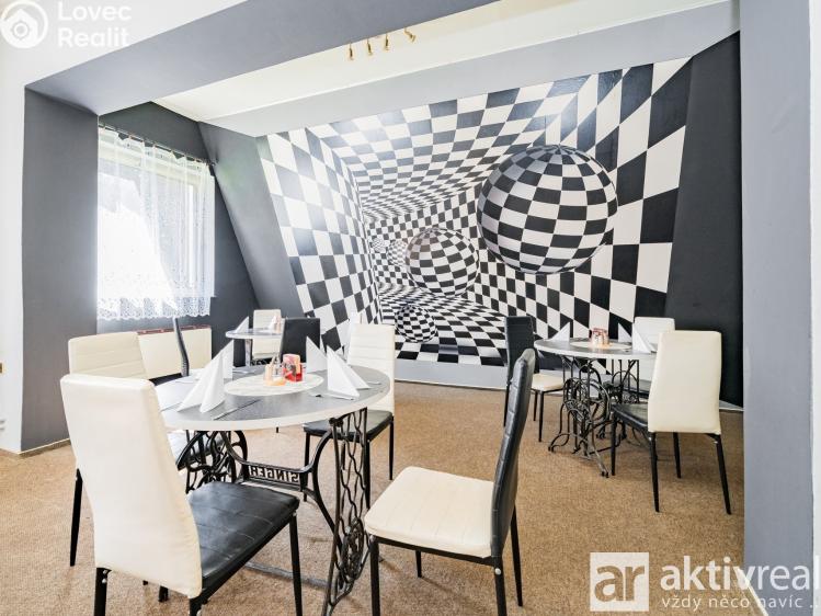 Prodej ubytovacího zařízení Plavy č. 11