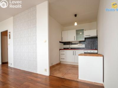 Pronájem bytu 1+KK Praha, Malenická č. 1