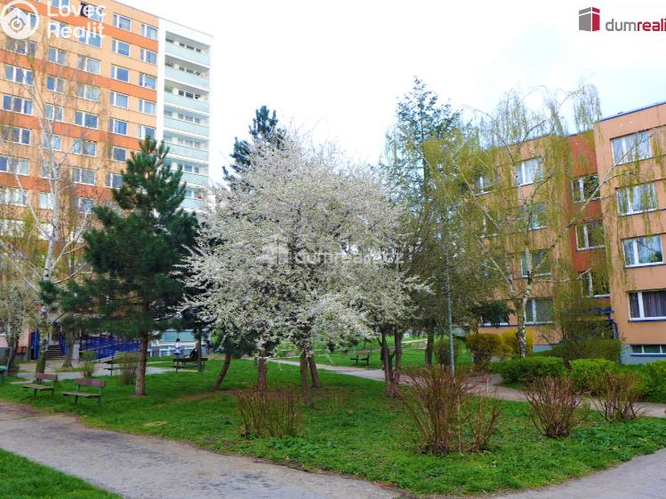 Pronájem bytu 4+KK Praha 11, Vejvanovského č. 46