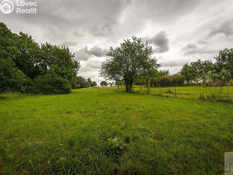 Prodej zemědělské usedlosti Řepníky č. 16