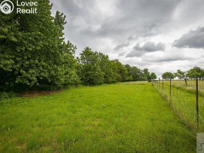 Prodej zemědělské usedlosti Řepníky č. 15