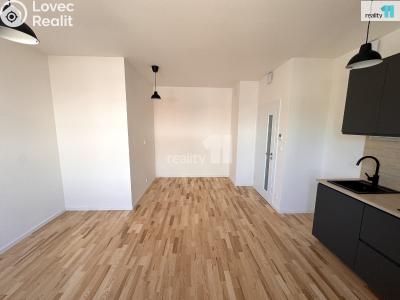 Pronájem bytu 1+KK Dobřichovice, Pražská č. 4