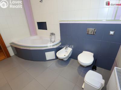 Rent apartment 3+KK Karlovy Vary, Mariánskolázeňská č. 11