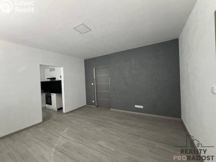 Rent apartment 2+1 Hodonín, Lužní č. 3