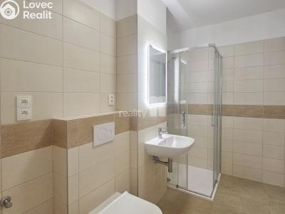 Pronájem bytu 1+KK Čáslav, Pražská č. 8