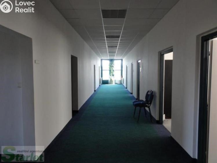Rent office space Praha, Jana Růžičky 1165/2a č. 2