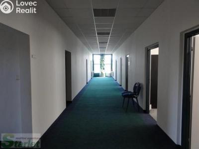 Rent office space Praha, Jana Růžičky č. 2