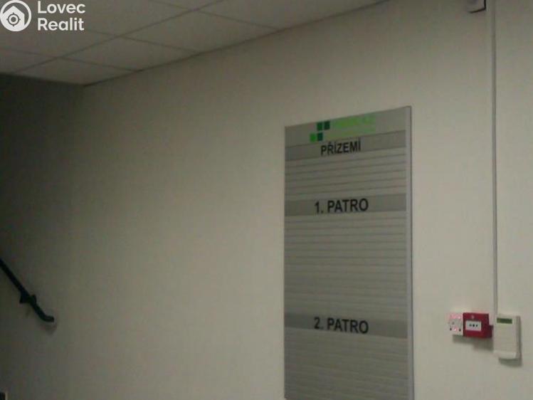 Rent office space Praha, Jana Růžičky 1165/2a č. 4