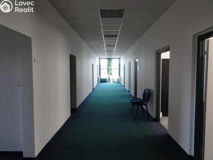 Rent office space Praha, Jana Růžičky 1165/2a č. 2