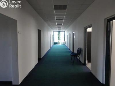 Rent office space Praha, Jana Růžičky č. 2
