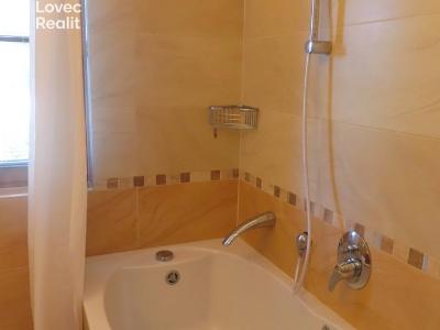Rent apartment 3+KK Praha, U dětského hřiště č. 16