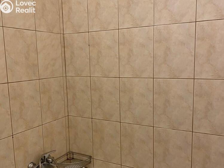 Rent apartment 1+KK Praha, Freyova 291/8 č. 5