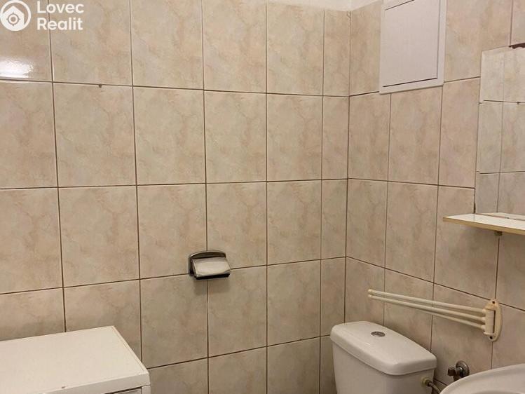 Rent apartment 1+KK Praha, Freyova 291/8 č. 6